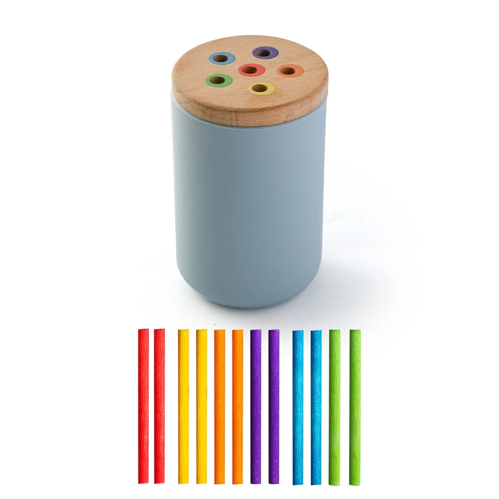Color Sorting & Shape Matching Toy