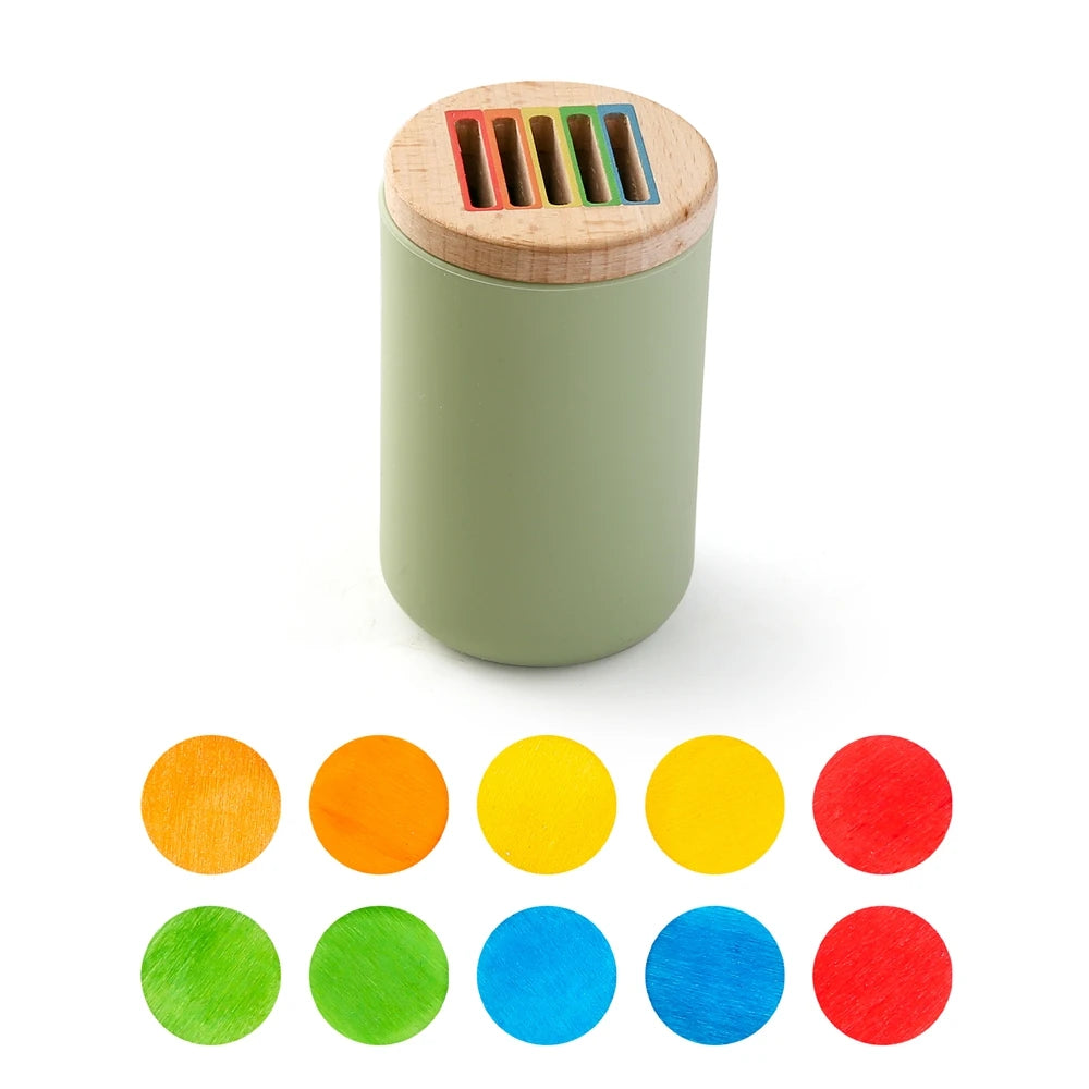 Color Sorting & Shape Matching Toy