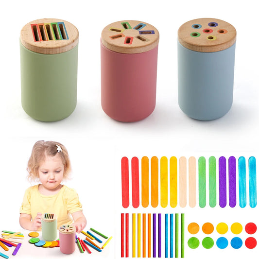 Color Sorting & Shape Matching Toy