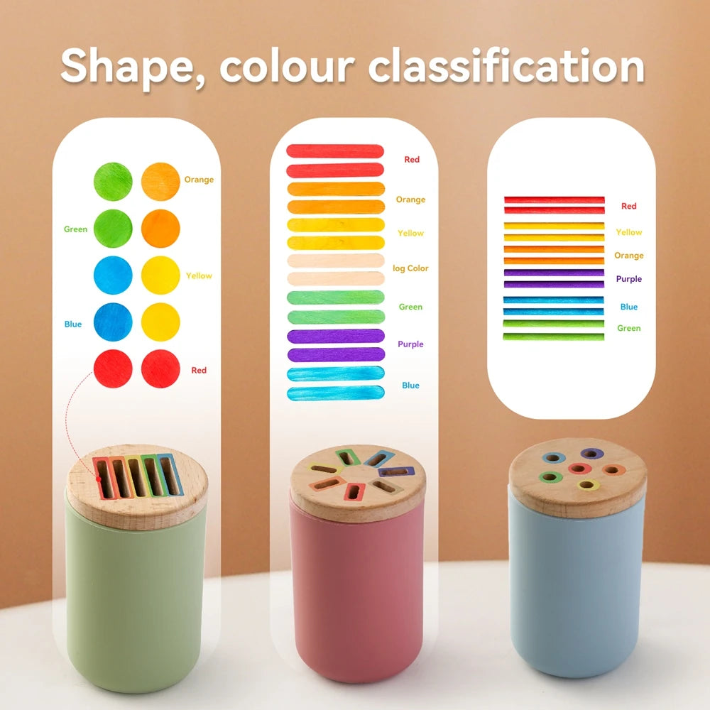 Color Sorting & Shape Matching Toy