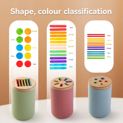 Color Sorting & Shape Matching Toy