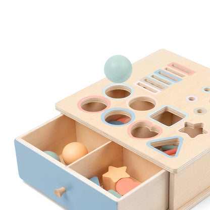 Wooden Shape Sorting & Fine Motor Box Toy
