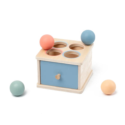 Wooden Shape Sorting & Fine Motor Box Toy