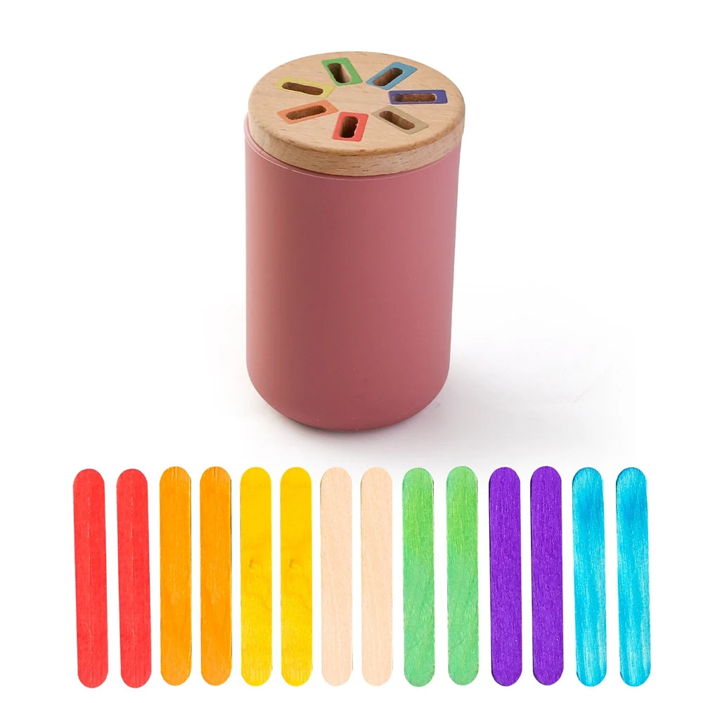 Color Sorting & Shape Matching Toy