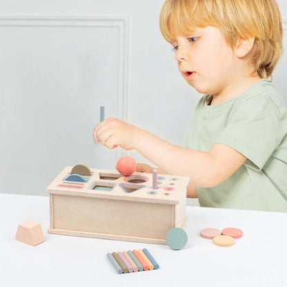 Wooden Shape Sorting & Fine Motor Box Toy