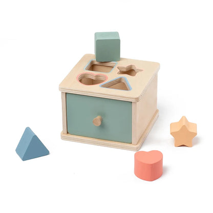 Wooden Shape Sorting & Fine Motor Box Toy